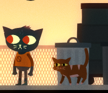 NITW cats cats